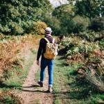 Benefits of Walking Daily Unlocked