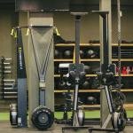 Exercise Physiology Basics for Fitness Enthusiasts